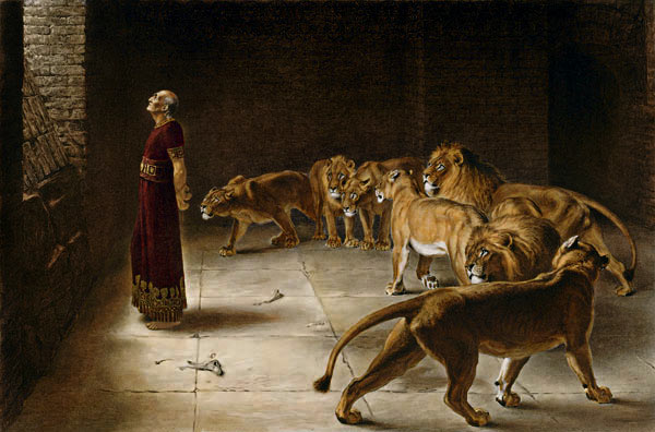 Daniel-lion