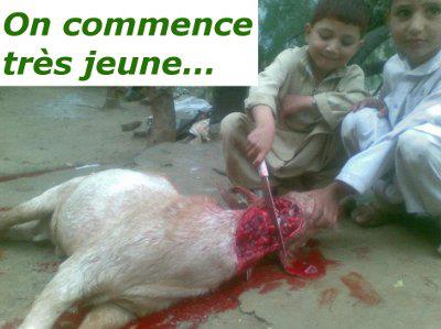 Islam-On-commence-tres-jeune-a-egorger