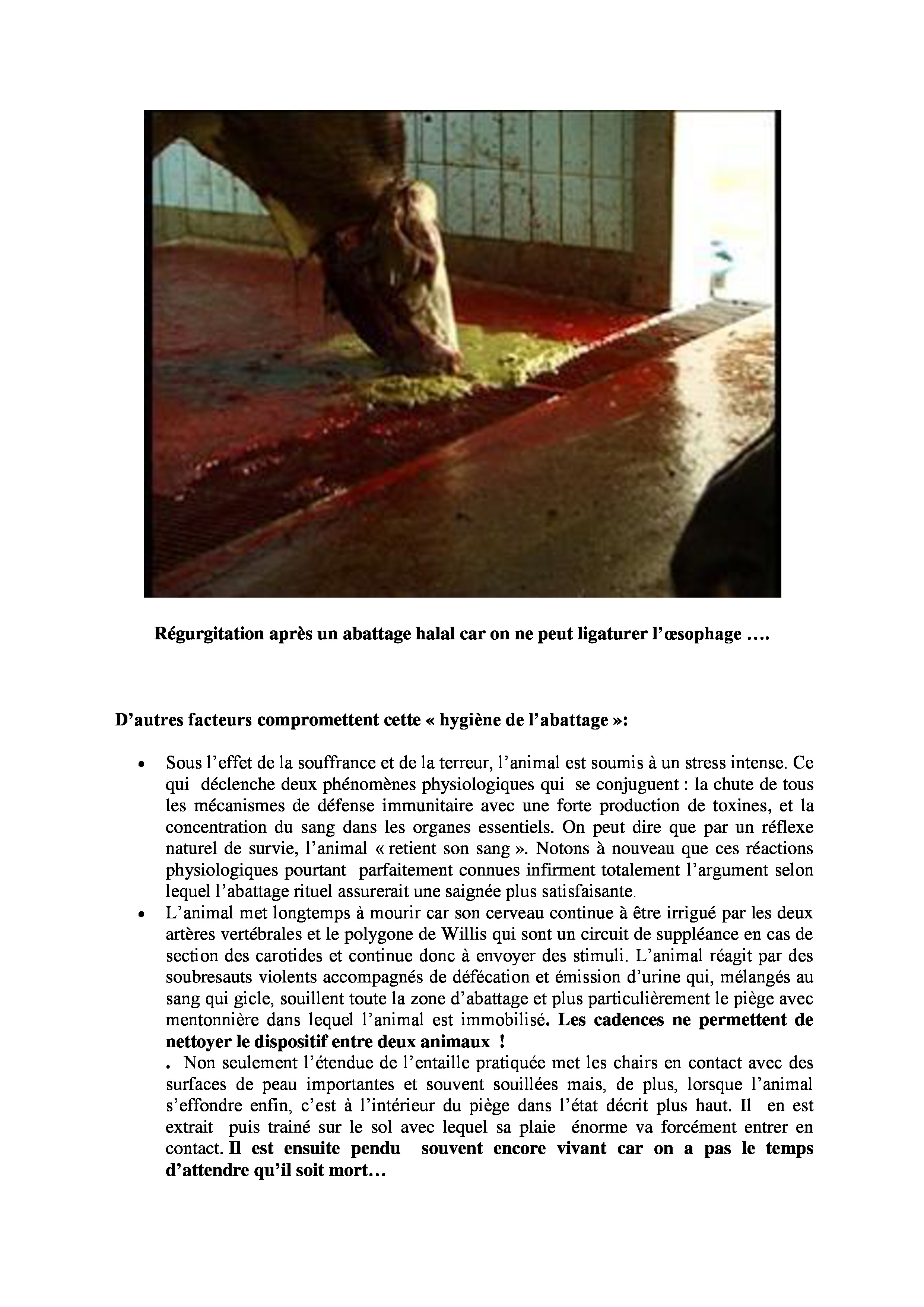 Les-risques-sanitaires-liés-à-labattage-halal-1-page-2