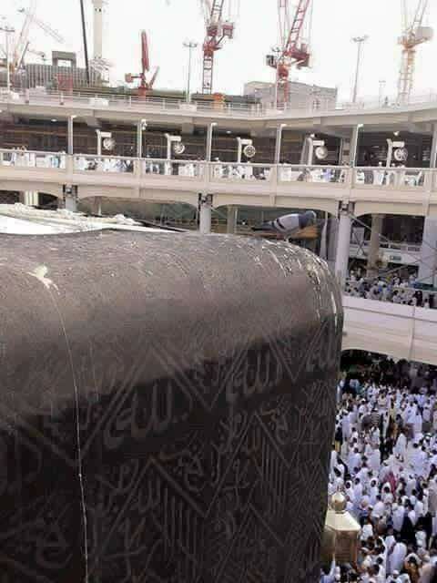 pigeons kaaba