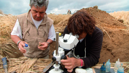 Manger responsable ou la mort des sols agricoles