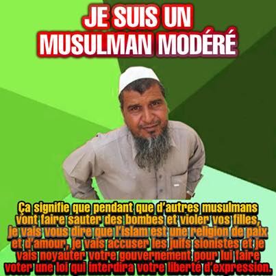 Musulmans modérés et islamistes