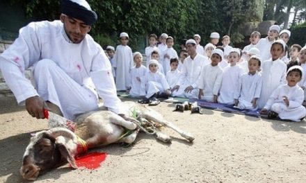 Abattage halal, ce que demande Allah…