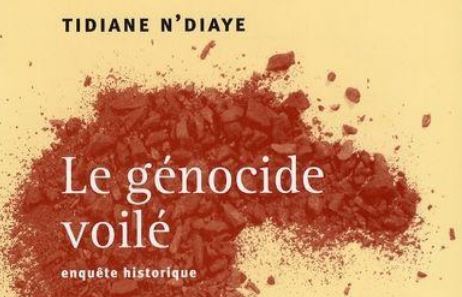 Le génocide voilé de Tidiane N’Diaye