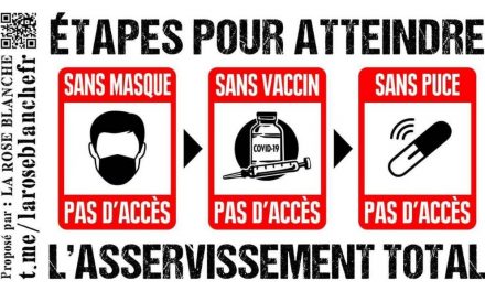 Pour comprendre la gestion criminelle de la crise sanitaire