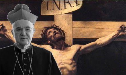 Appel de Mgr Vigano pour la création d’une Alliance antiglobaliste internationale