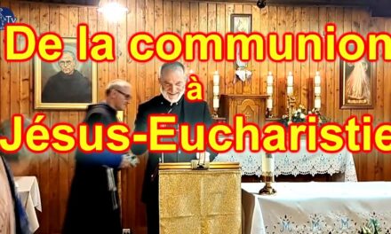 De la communion à Jésus-Eucharistie / Komunia z Jezusem w Eucharystii