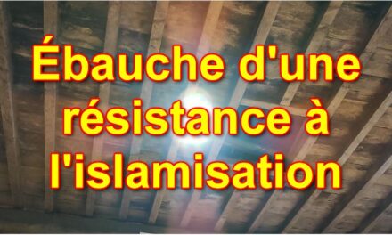 Ébauche d’une résistance à l’islamisation