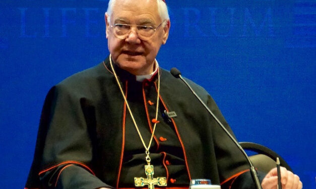 Cardinal Müller : “Bénir les couples homosexuels constitue un acte sacrilège et blasphématoire contre le plan du Créateur”