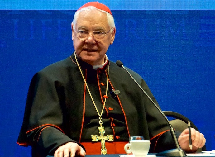 Cardinal Müller : “Bénir les couples homosexuels constitue un acte sacrilège et blasphématoire contre le plan du Créateur”