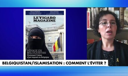 Le courageux témoignage de Fadila Maaroufi, militante en Belgique